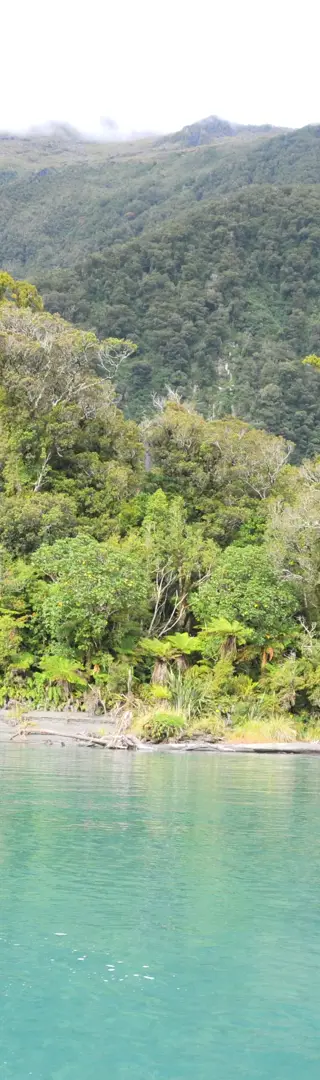 Haast River